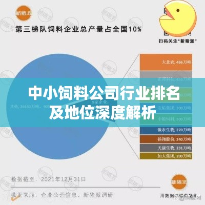 中小飼料公司行業(yè)排名及地位深度解析