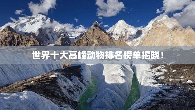 世界十大高峰動物排名榜單揭曉！