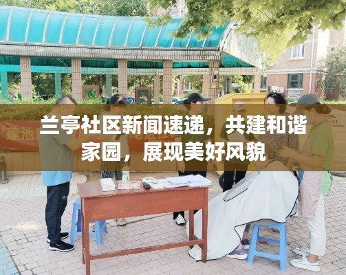 蘭亭社區(qū)新聞速遞，共建和諧家園，展現(xiàn)美好風(fēng)貌