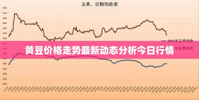黃豆價格走勢最新動態(tài)分析今日行情