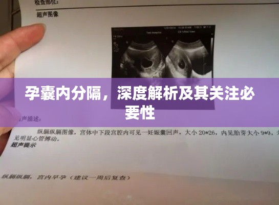 孕囊內(nèi)分隔，深度解析及其關(guān)注必要性