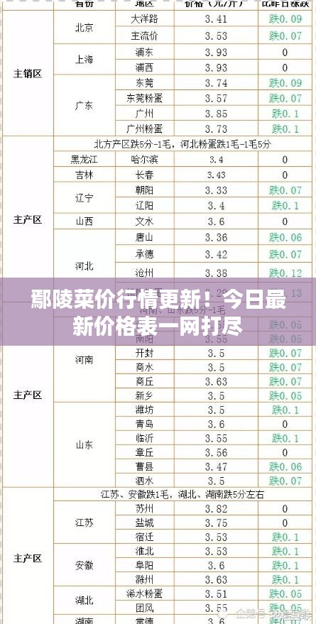 鄢陵菜價(jià)行情更新！今日最新價(jià)格表一網(wǎng)打盡
