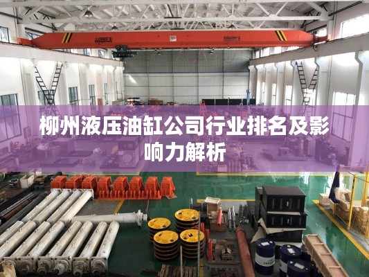 柳州液壓油缸公司行業(yè)排名及影響力解析