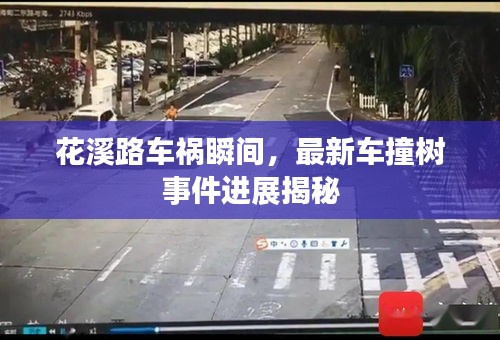 花溪路車禍瞬間，最新車撞樹事件進(jìn)展揭秘