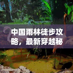 中國(guó)雨林徒步攻略，最新穿越秘境指南