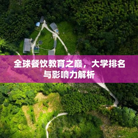 全球餐飲教育之巔，大學(xué)排名與影響力解析