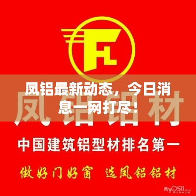 鳳鋁最新動態(tài)，今日消息一網打盡！