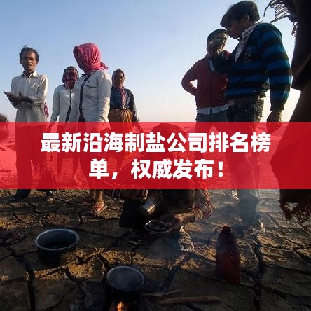 最新沿海制鹽公司排名榜單，權(quán)威發(fā)布！