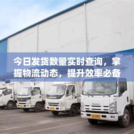今日發(fā)貨數(shù)量實時查詢，掌握物流動態(tài)，提升效率必備秘籍！