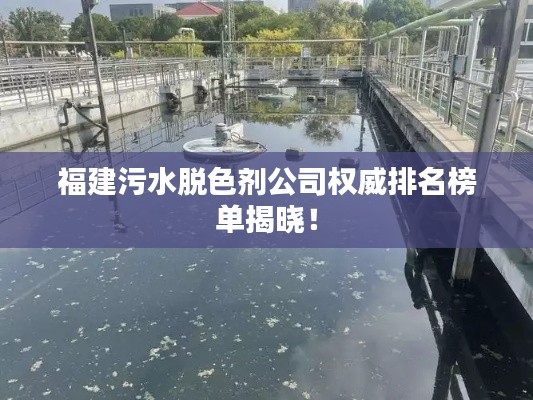 福建污水脫色劑公司權(quán)威排名榜單揭曉！