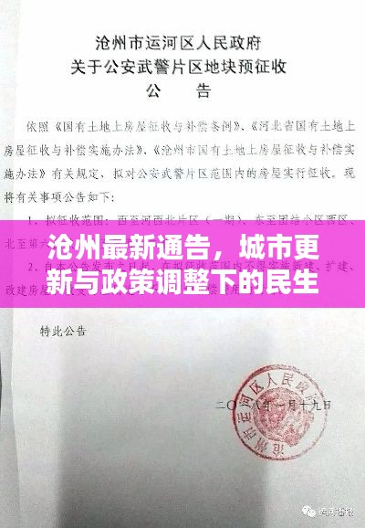滄州最新通告，城市更新與政策調(diào)整下的民生服務(wù)新動態(tài)