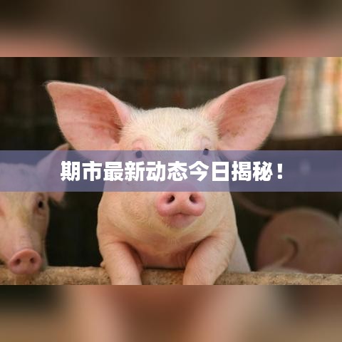 尊道貴德 第3頁(yè)