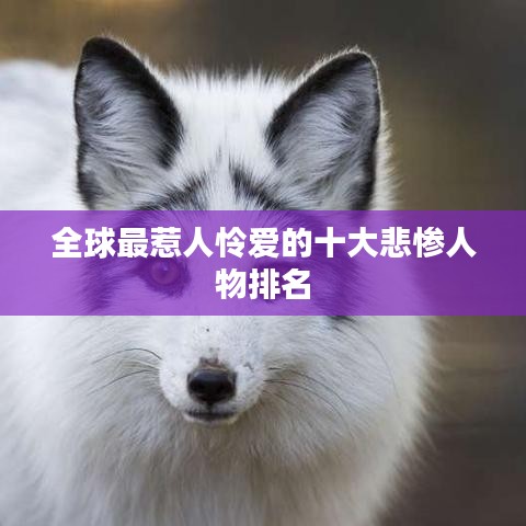 全球最惹人憐愛的十大悲慘人物排名