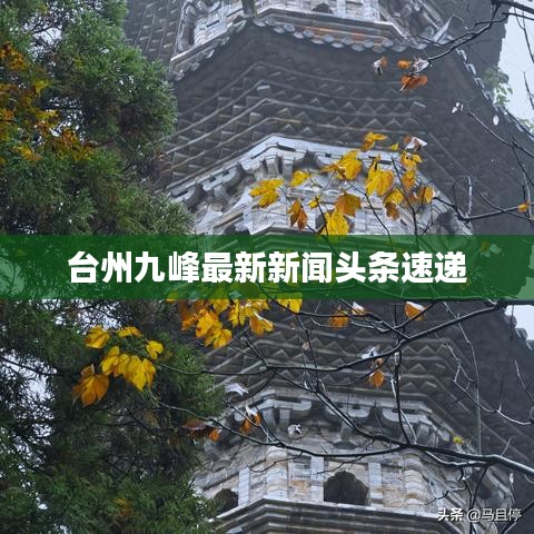 臺(tái)州九峰最新新聞?lì)^條速遞