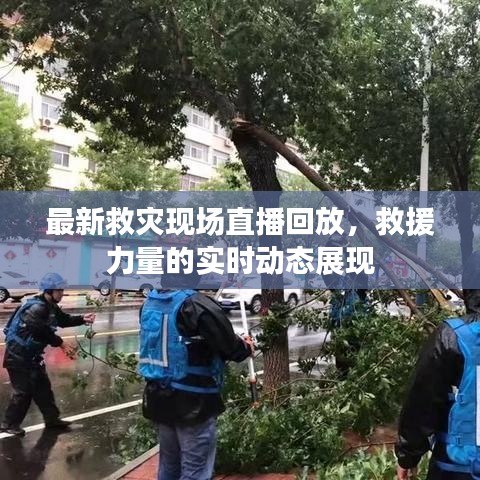 最新救災(zāi)現(xiàn)場直播回放，救援力量的實(shí)時(shí)動態(tài)展現(xiàn)