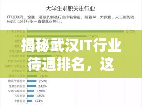 揭秘武漢IT行業(yè)待遇排名，這些公司薪資領(lǐng)跑市場(chǎng)！