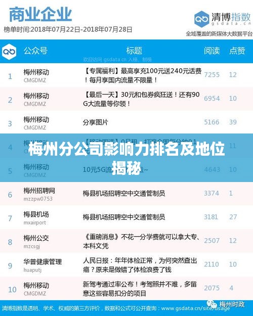 梅州分公司影響力排名及地位揭秘