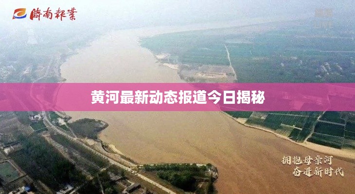 黃河最新動態(tài)報道今日揭秘