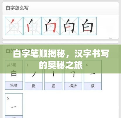 白字筆順揭秘，漢字書寫的奧秘之旅