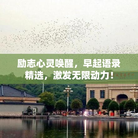 勵志心靈喚醒，早起語錄精選，激發(fā)無限動力！