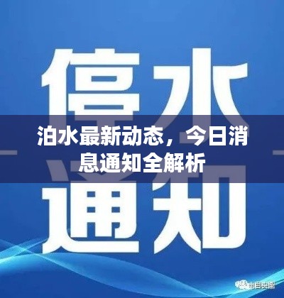 泊水最新動態(tài)，今日消息通知全解析