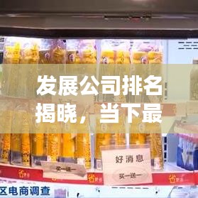 發(fā)展公司排名揭曉，當(dāng)下最活躍的企業(yè)巨頭榜單！