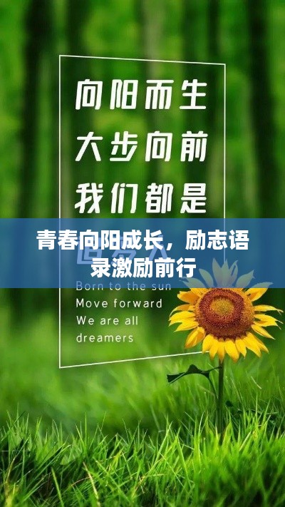 青春向陽成長，勵志語錄激勵前行