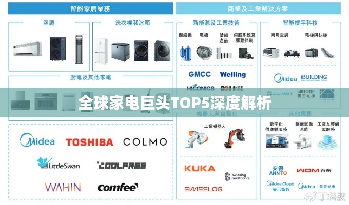全球家電巨頭TOP5深度解析