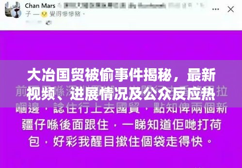 大冶國貿(mào)被偷事件揭秘，最新視頻、進(jìn)展情況及公眾反應(yīng)熱議