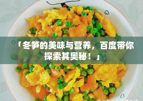 「冬筍的美味與營(yíng)養(yǎng)，百度帶你探索其奧秘！」