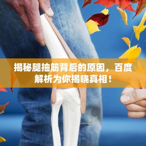 揭秘腿抽筋背后的原因，百度解析為你揭曉真相！