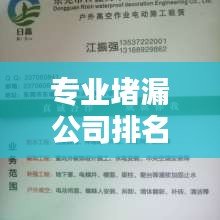 專業(yè)堵漏公司排名大揭秘！