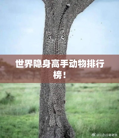 世界隱身高手動物排行榜！