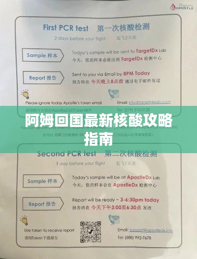 阿姆回國(guó)最新核酸攻略指南