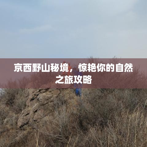 京西野山秘境，驚艷你的自然之旅攻略