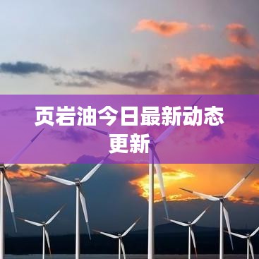 頁巖油今日最新動態(tài)更新