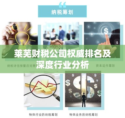 萊蕪財稅公司權威排名及深度行業(yè)分析