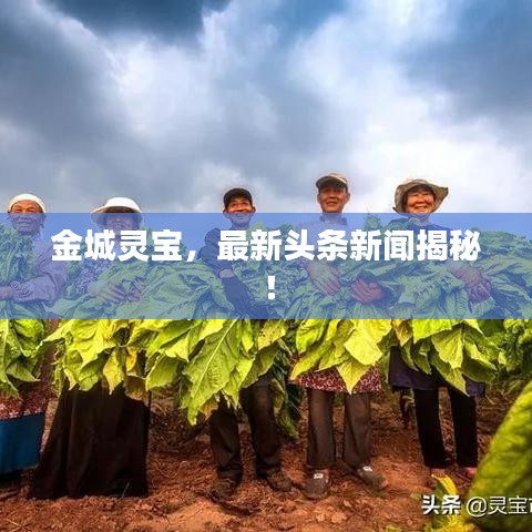 金城靈寶，最新頭條新聞揭秘！