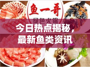 五光十色 第3頁(yè)