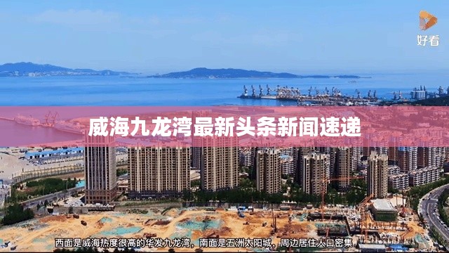 威海九龍灣最新頭條新聞速遞