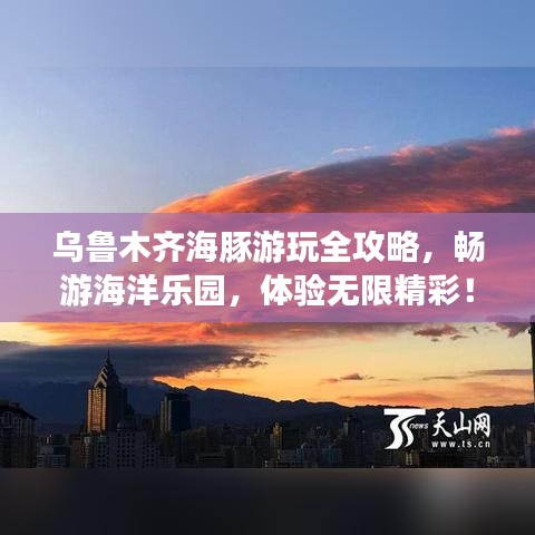 烏魯木齊海豚游玩全攻略，暢游海洋樂園，體驗(yàn)無限精彩！