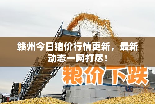 小家碧玉 第3頁(yè)