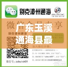廣東玉溪通?？h最新發(fā)展動(dòng)態(tài)及地方資訊速遞