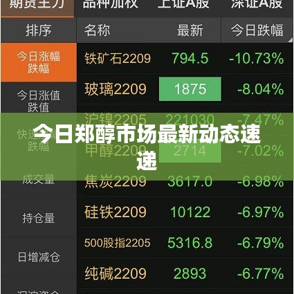 今日鄭醇市場最新動(dòng)態(tài)速遞