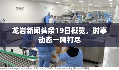 龍巖新聞頭條19日概覽，時事動態(tài)一網(wǎng)打盡