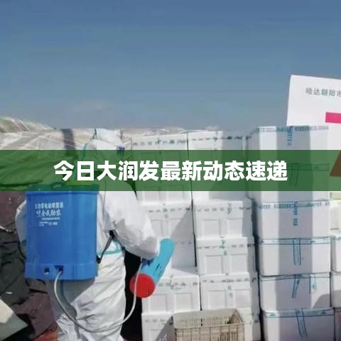 今日大潤發(fā)最新動(dòng)態(tài)速遞