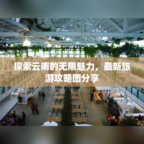 探索云南的無限魅力，最新旅游攻略圖分享
