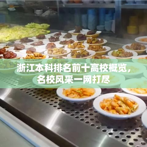 浙江本科排名前十高校概覽，名校風(fēng)采一網(wǎng)打盡