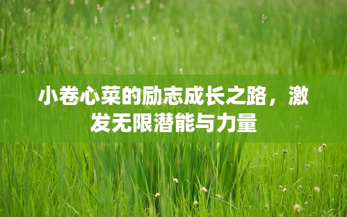 小卷心菜的勵志成長之路，激發(fā)無限潛能與力量