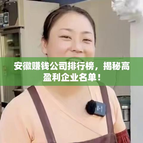 安徽賺錢公司排行榜，揭秘高盈利企業(yè)名單！